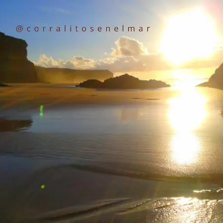 Appartamento Corralitos En El Mar Estudios